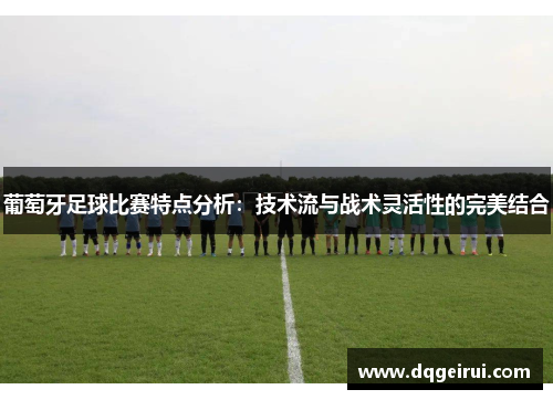 葡萄牙足球比赛特点分析：技术流与战术灵活性的完美结合