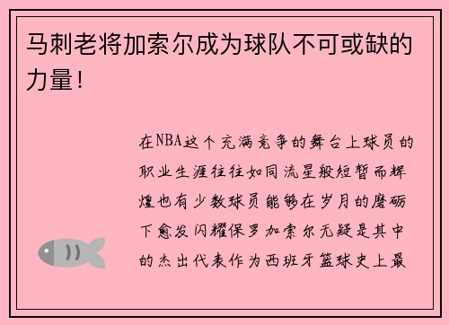 马刺老将加索尔成为球队不可或缺的力量！